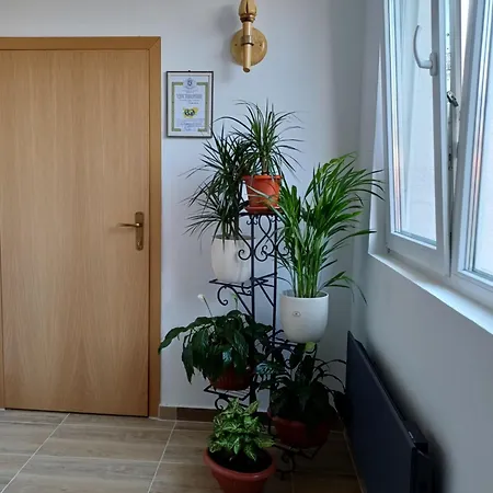 за гости 